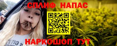 МДПВ Будённовск